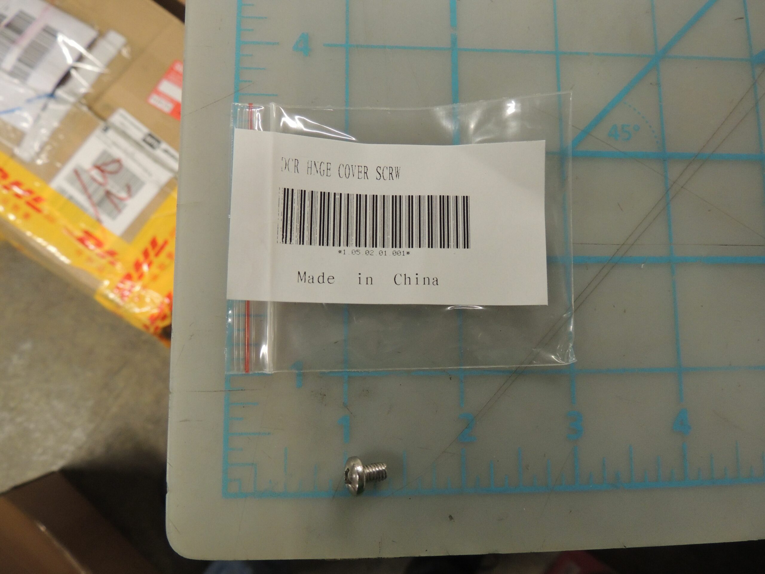 1.05.02.01.001 DCR Upper Hinge Cover Screw