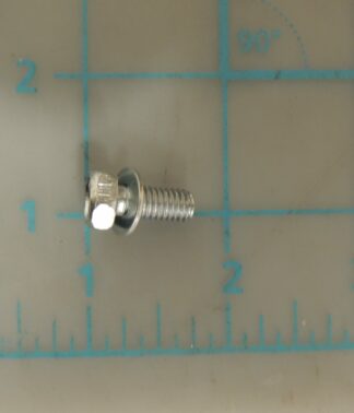 Right Bottom Hinge Screw