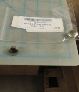 Hinge Plug (door)