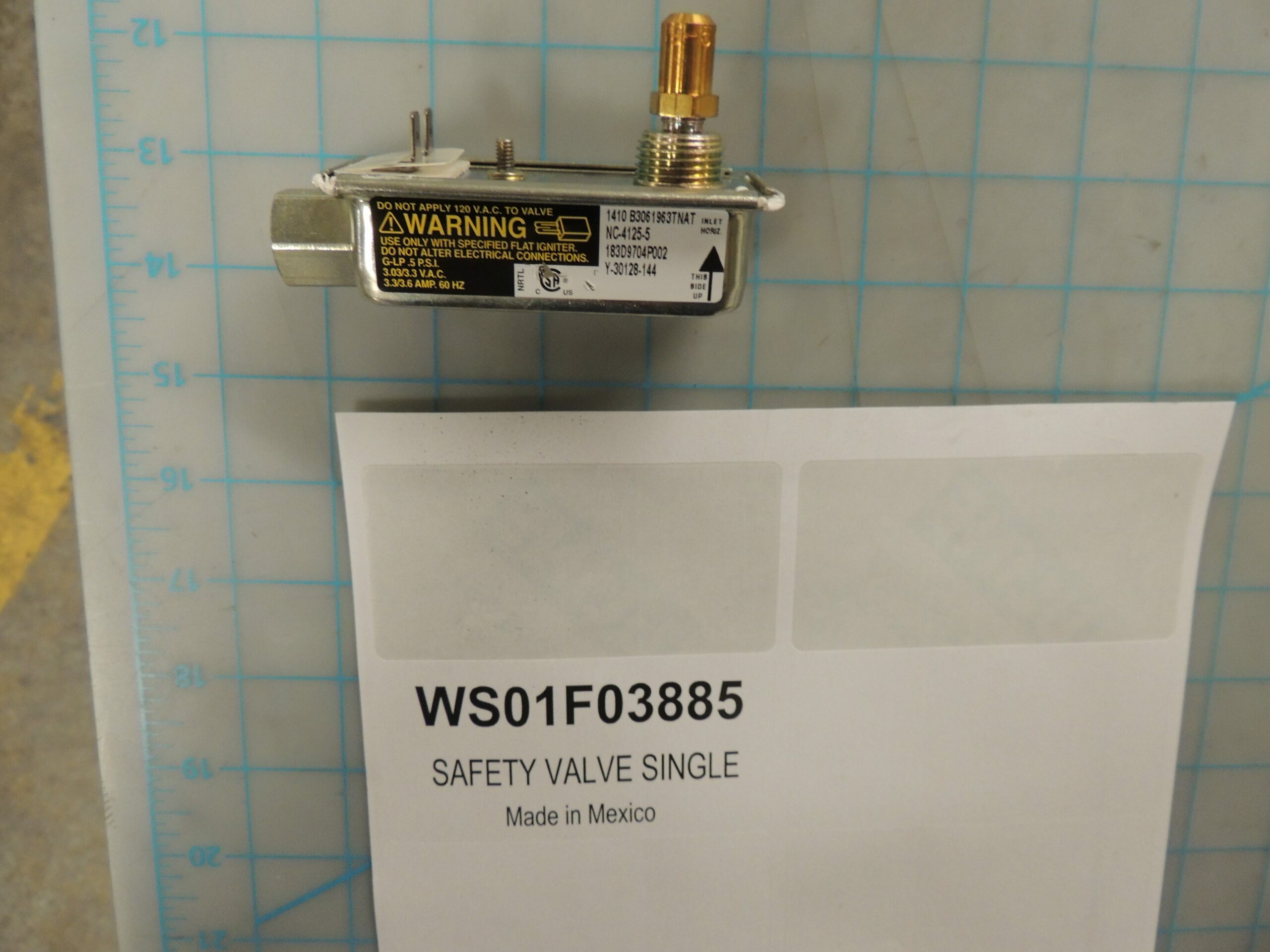 WS01F03885 SAFETY VALVE SINGLE