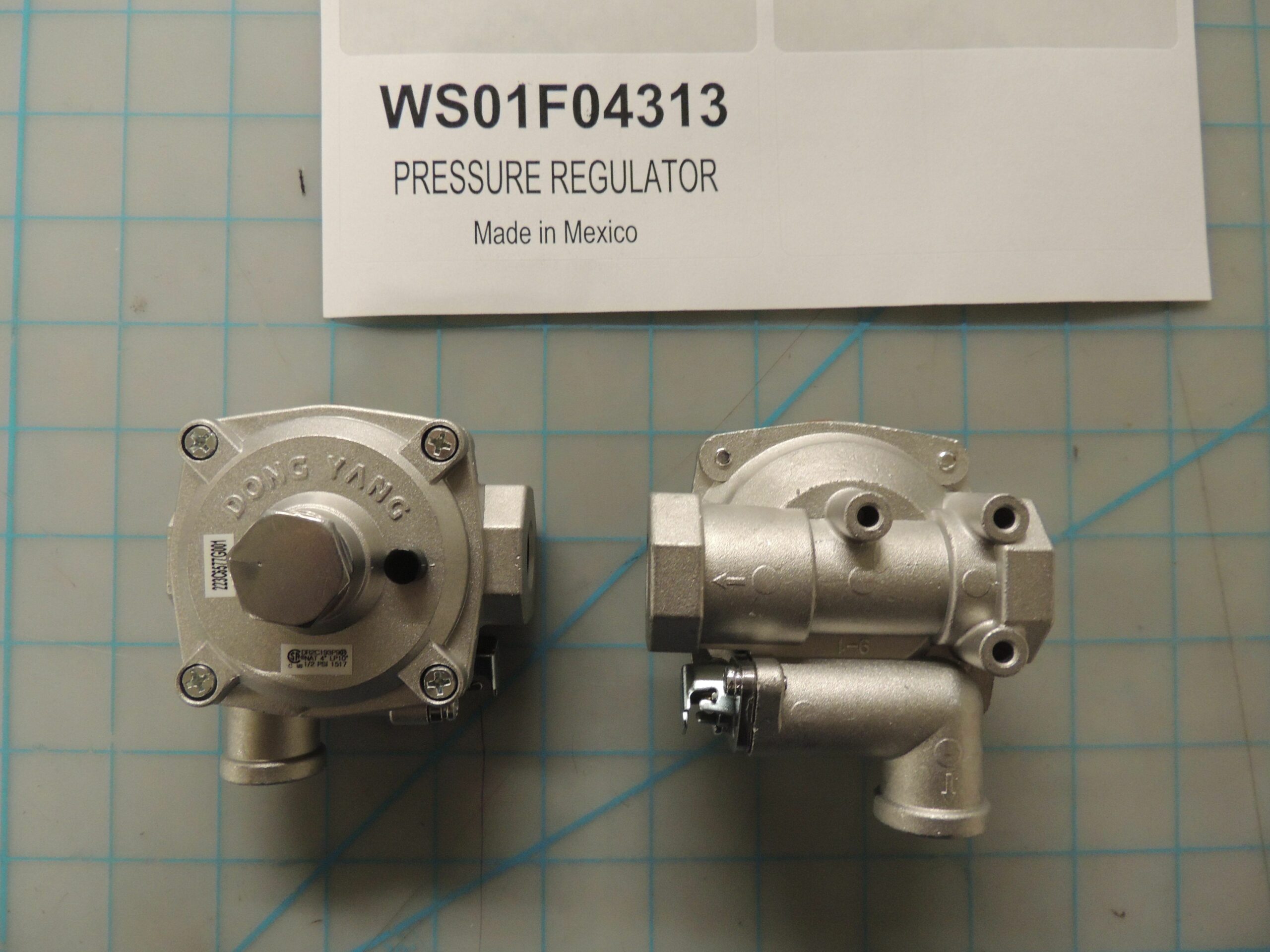 WS01F04313 PRESSURE REGULATOR