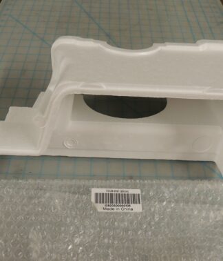 Volute shell (above)